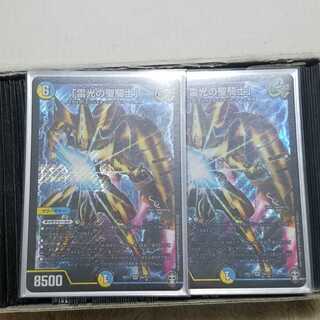 「雷光の聖騎士」