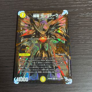 煌龍 サッヴァーク SE