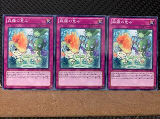 【ぽぽたん】遊戯王 6910 森羅の恵み 3枚 ノーマル