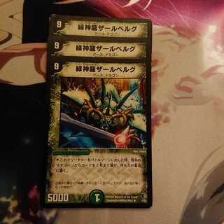 「追跡有り」緑神龍ザールベルグ