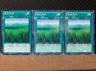 【ぽぽたん】遊戯王 6907 湿地草原 3枚 ノーマル