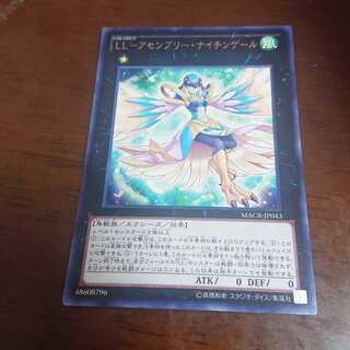 LL-アセンブリー・ナイチンゲール