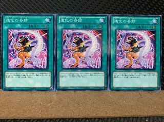 【ぽぽたん】遊戯王 6924 進化の奇跡 3枚 ノーマル