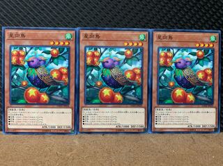 Popotan] Yu-Gi-Oh! 6905 Star Staring Starling 3 Normal