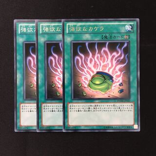 d350 強欲なカケラ レア 3枚 遊戯王 トレトレ