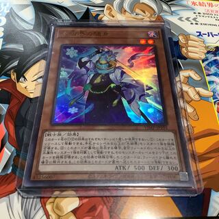 【最安値】氷結界の随身 ウルトラ