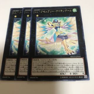 マドレース LL-アセンブリー・ナイチンゲール レア