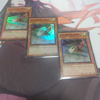 韓国　霞の谷の幼怪鳥　HA02