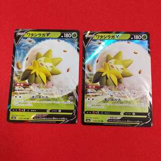 ワタシラガV RR 2枚セット