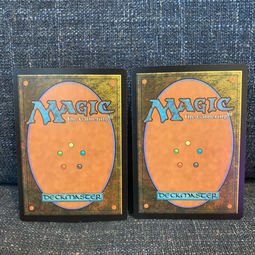 最安 探索する獣 2枚セット