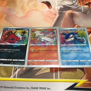 A Rosa Zing Rare Set