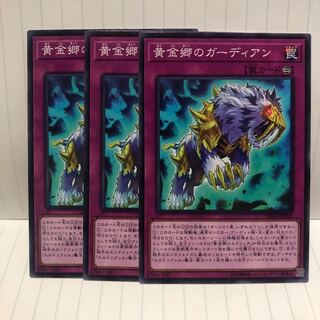 黄金郷のガーディアン　ノーマル　3枚　マホ子