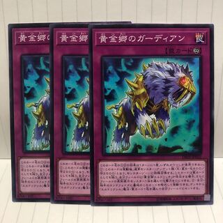 黄金郷のガーディアン　ノーマル　3枚　マホ子