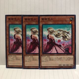 薔薇恋人　ノーマル　3枚　マホ子