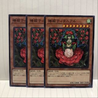 Tytannial, Princess of Camellias Normal 3 sheets Mahoko