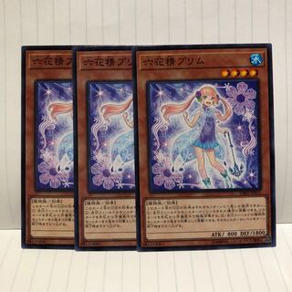 六花精プリム ノーマル　3枚　マホ子