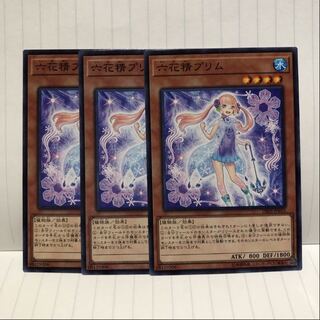 六花精プリム ノーマル　3枚　マホ子