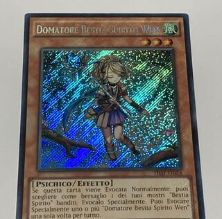 霊獣使い ウェン イタリア語版　EU版