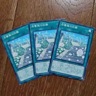 白薔薇の回廊　N