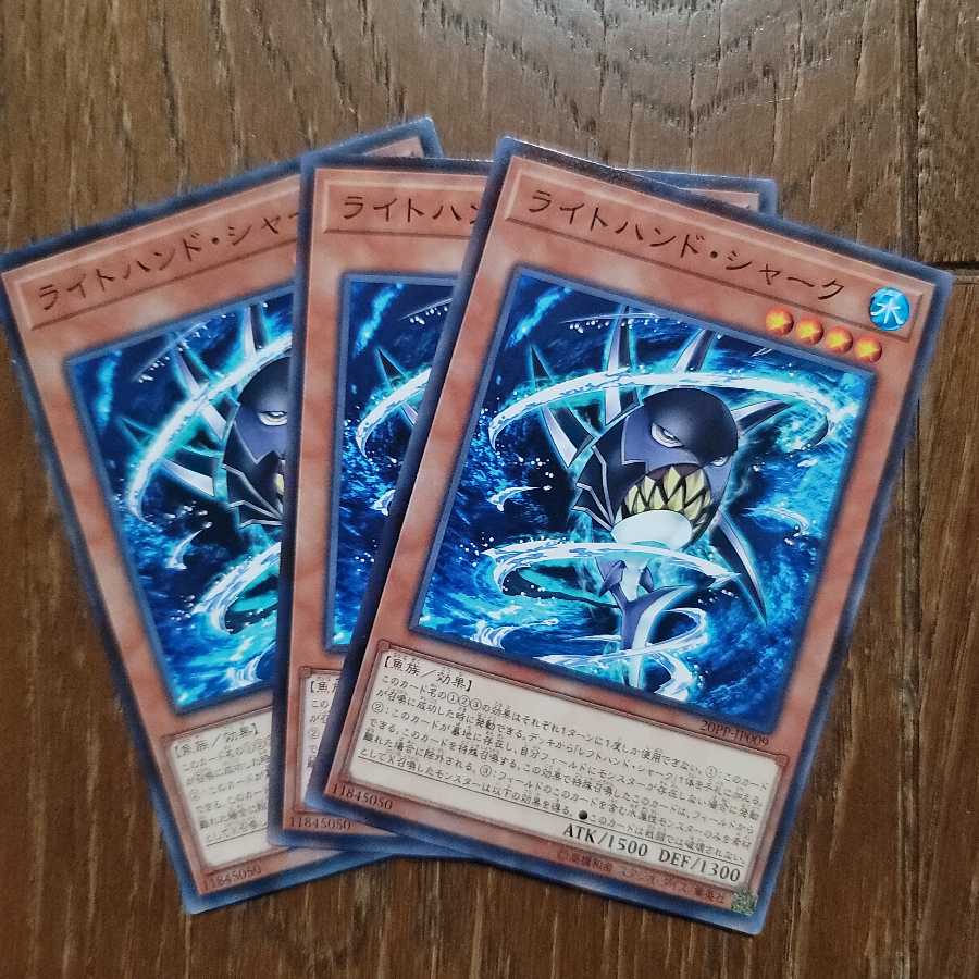 ライトハンドシャーク N