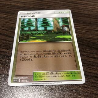 トキワの森 ミラー