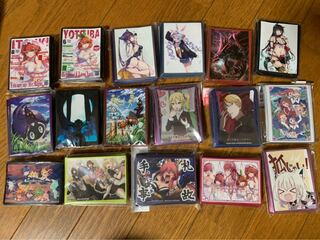 同人 アニメ スリーブ 2