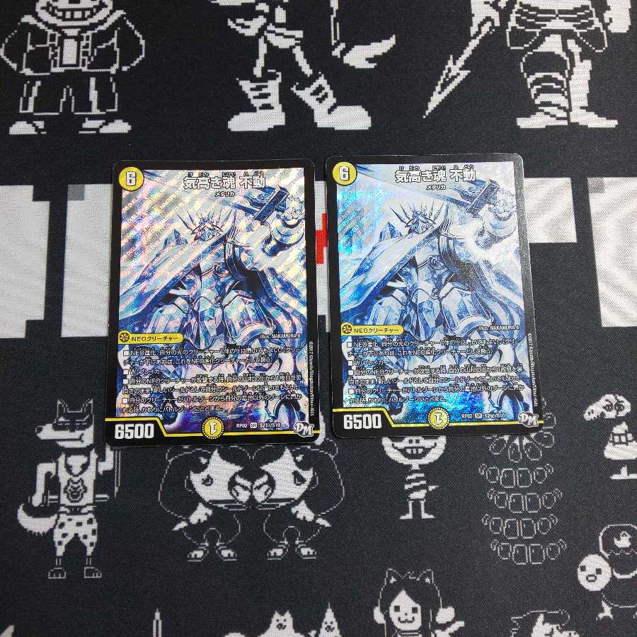 気高き魂 不動 1枚