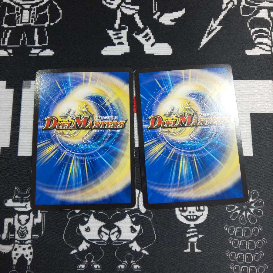 気高き魂 不動 1枚