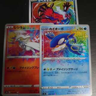 イベルタル レシラム カイオーガ アメイジング