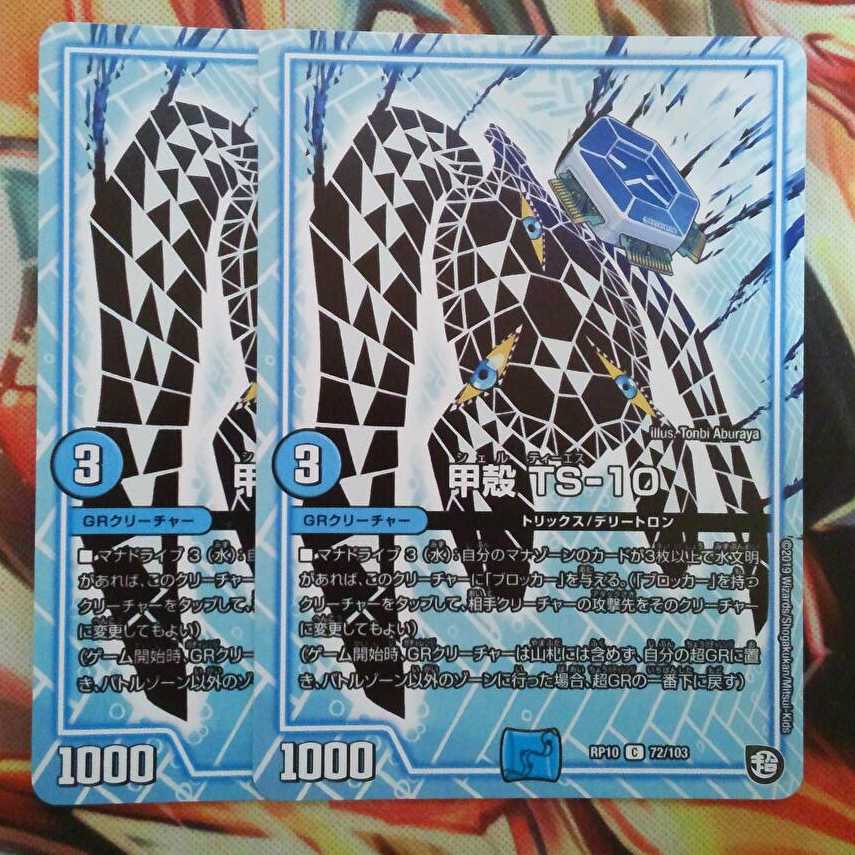 甲殻 TS-10 二枚セット