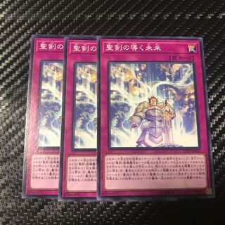 聖剣の導く未来