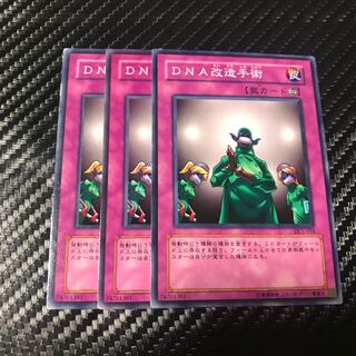 DNA改造手術 ノーマル