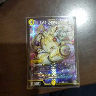 「絶対の楯騎士」