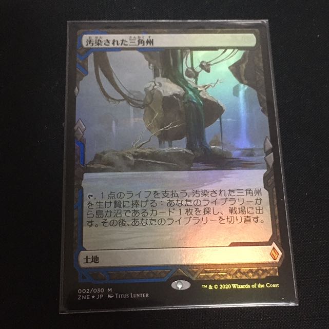 汚染された三角州　FOIL