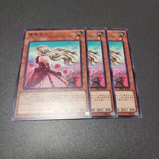 薔薇恋人 ノーマル3枚