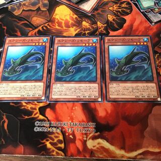 エクシーズ・リモーラ　3枚