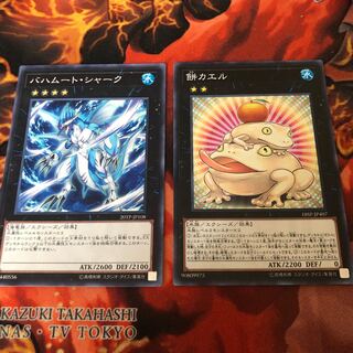 バハムート・シャーク　餅カエル