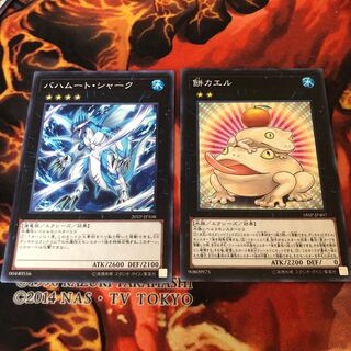 バハムート・シャーク　餅カエル