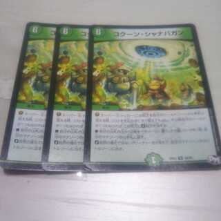 コクーン・シャナバガン