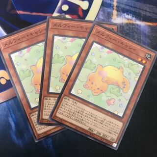 メルフィー・キャシィ