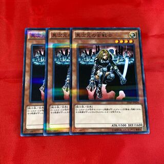 異次元の女戦士