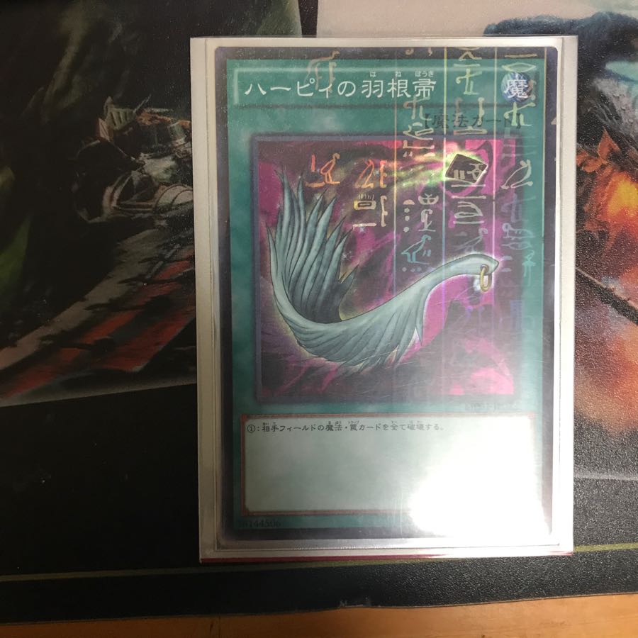 ハーピィの羽根帚セット