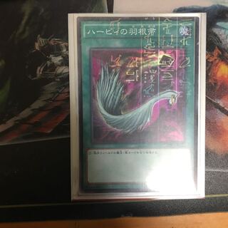 ハーピィの羽根帚セット