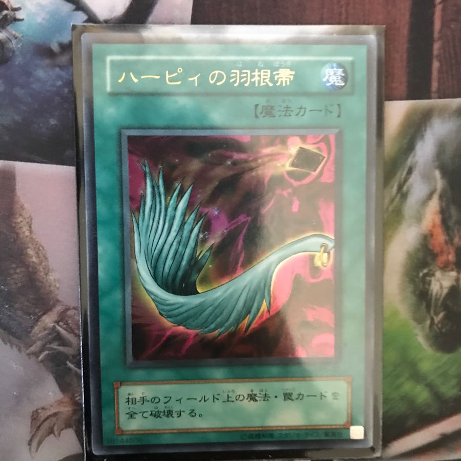 ハーピィの羽根帚セット