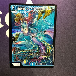 海姫龍 ライベルモット・ビターズ