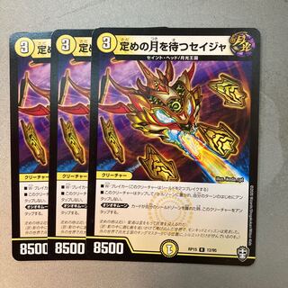 定めの月を待つセイジャ