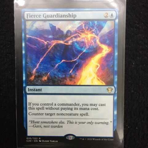 激情の後見/Fierce Guardianship　英語版