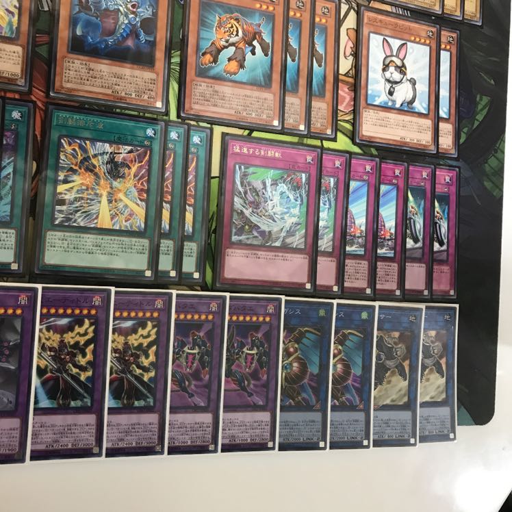 剣闘獣デッキ　遊戯王