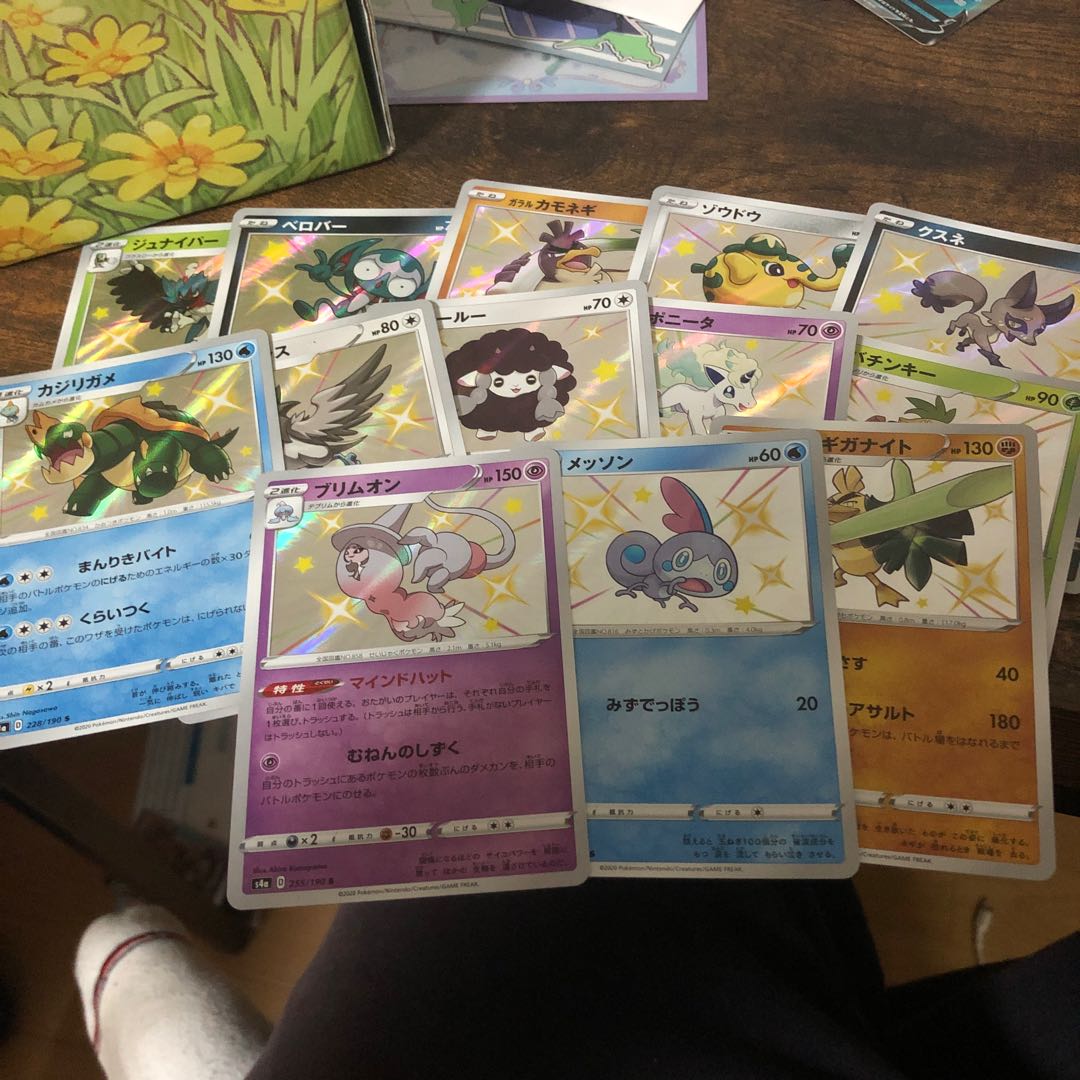 色違い13枚セット