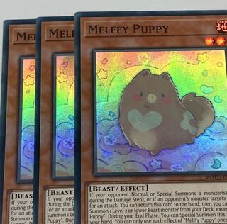 メルフィー・パピィ　英語版　EU版　3枚